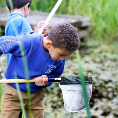 A primary school boy inspects a net for creatures during a pond dipping activity